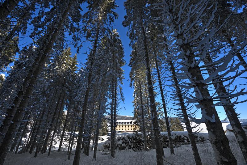 Hotel Vezzena Malga Postesina Eksteriør billede